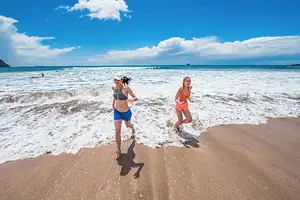 Sheepdog Bus Pass Kiwi Experience