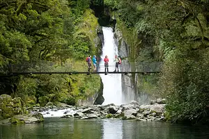 Milford Track Guided Walk | From Milford Sound