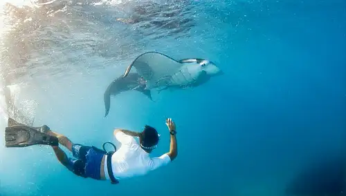 7 day coconut cruiser Fiji