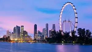Singapore Flyer Observation Wheel And Time Capsule Entry Tickets